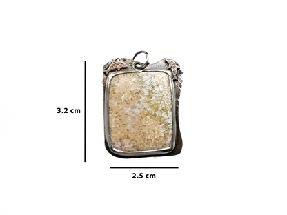 Fossil Coral - Handmade 925 Sterling Silver Bronze Metal Necklace