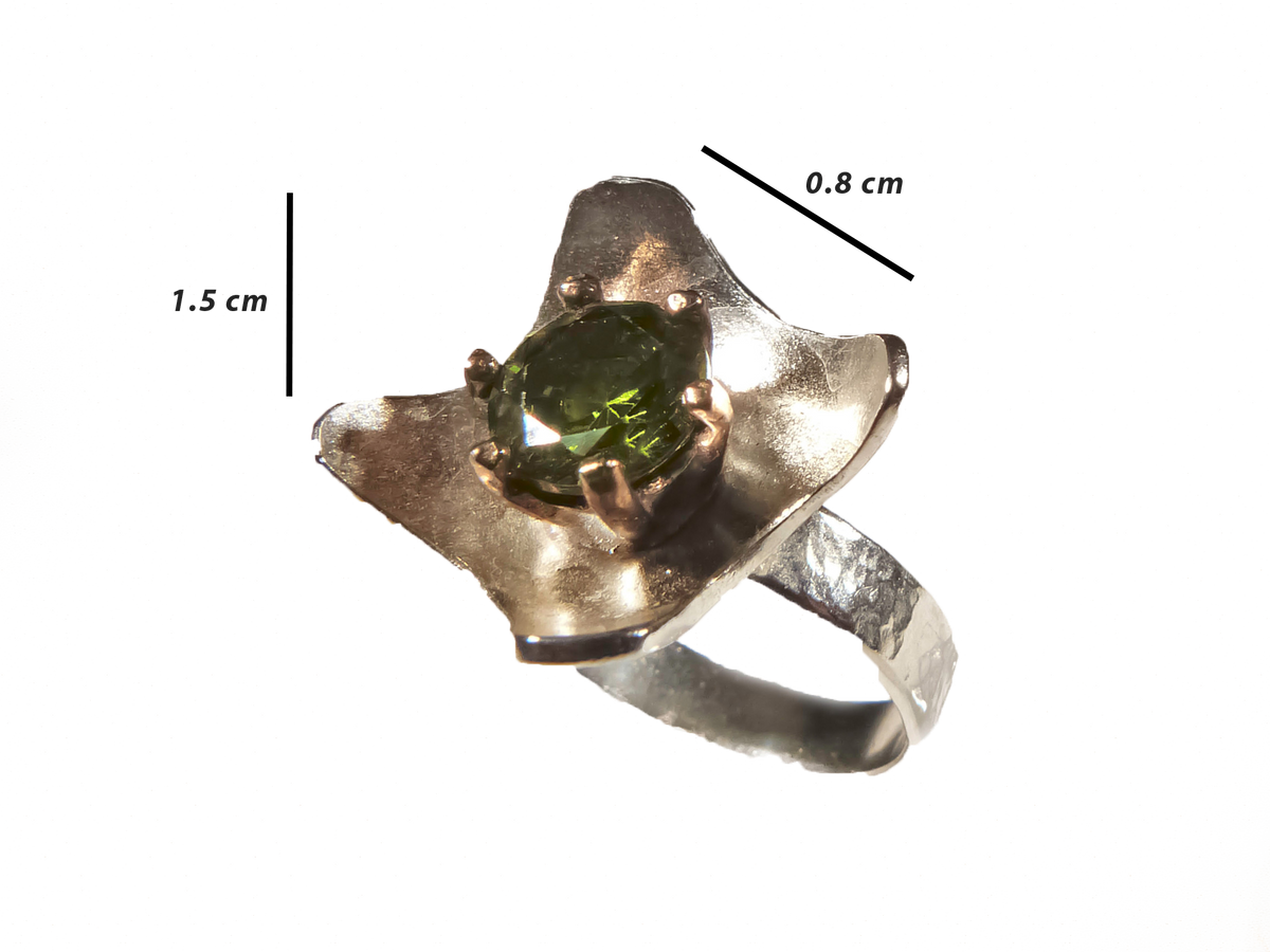 Peridot - El Yapımı 925 Ayar Gümüş Bronz Yüzük